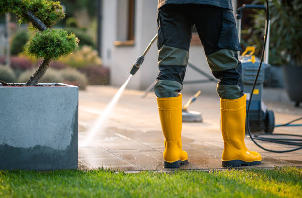 Best Affordable Pressure Washing  in Marion, AL